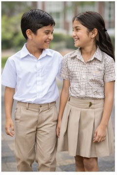 Brown Shirt and Skirt in combination